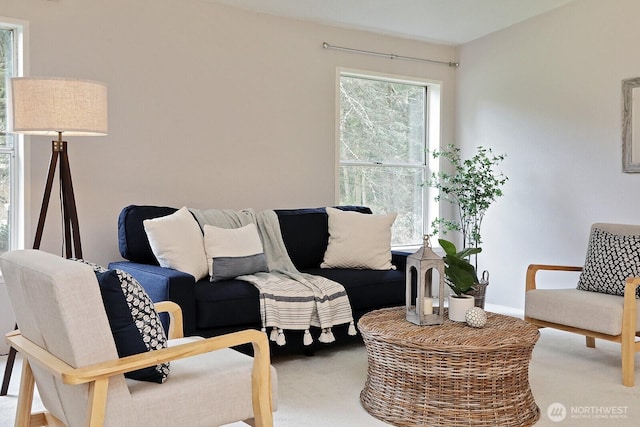 living room featuring carpet