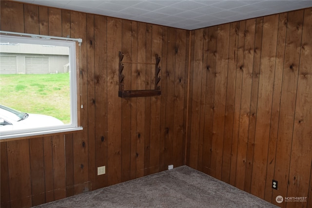 spare room featuring carpet floors and wooden walls