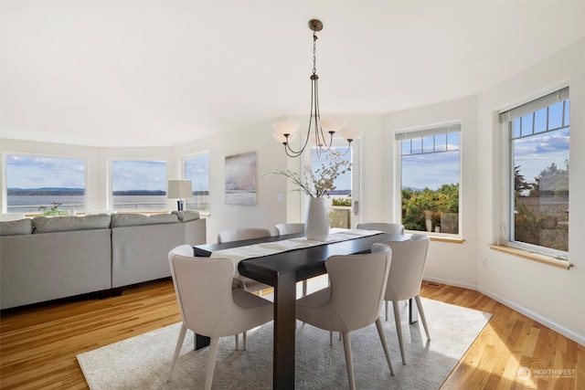 dining room featuring a notable chandelier and light hardwood / wood-style floors