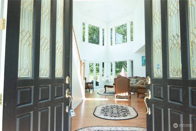 foyer entrance with hardwood / wood-style floors and a healthy amount of sunlight