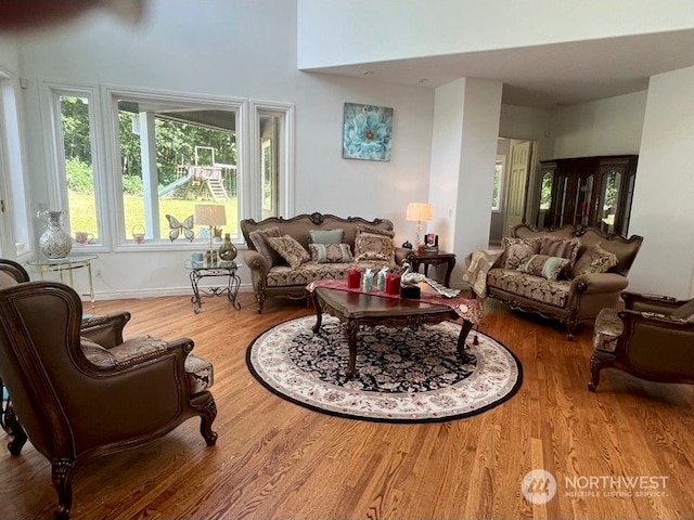 living room featuring light hardwood / wood-style flooring