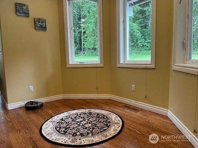 empty room with hardwood / wood-style floors and a wealth of natural light