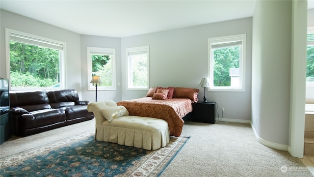 carpeted bedroom with multiple windows