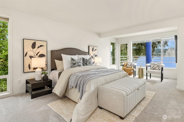 bedroom featuring light carpet and multiple windows