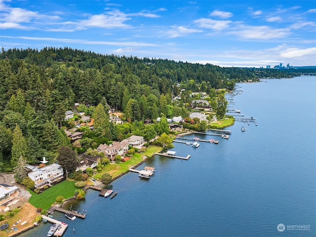 aerial view featuring a water view and a view of trees