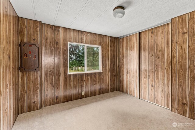 carpeted empty room featuring wood walls and a textured ceiling