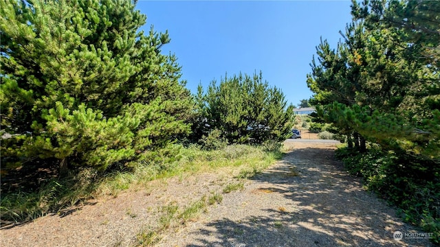 33309 I St, Ocean Park WA, 98640 land for sale