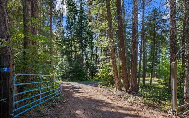 730 Tall Pines Dr, Cle Elum, WA 98922 - photo 23