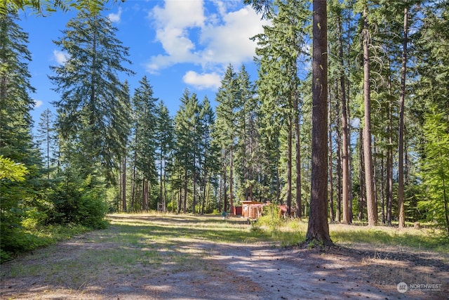 Listing photo 3 for 730 Tall Pines Dr, Cle Elum WA 98922