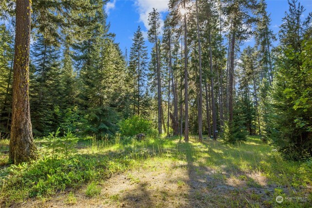 730 Tall Pines Dr, Cle Elum, WA 98922 - photo 18