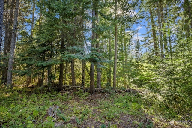 730 Tall Pines Dr, Cle Elum, WA 98922 - photo 20