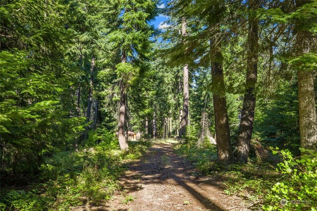 730 Tall Pines Dr, Cle Elum, WA 98922 - photo 22