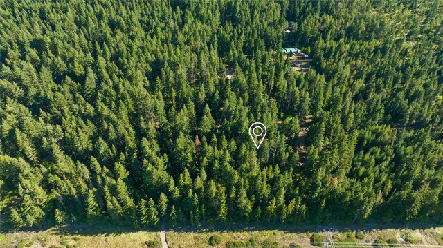 730 Tall Pines Dr, Cle Elum, WA 98922 - photo 4