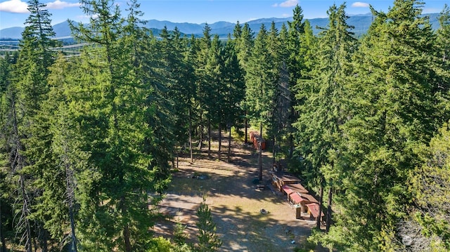 730 Tall Pines Dr, Cle Elum WA, 98922 land for sale