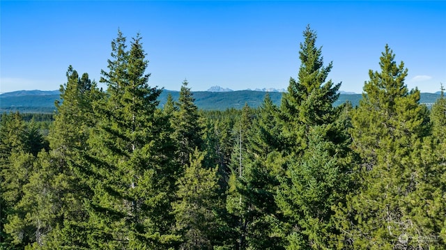 730 Tall Pines Dr, Cle Elum, WA 98922 - photo 10