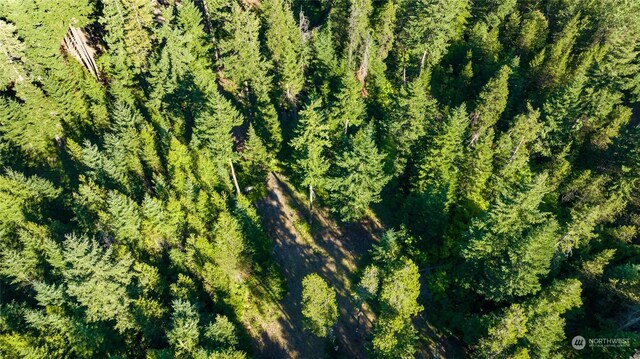 730 Tall Pines Dr, Cle Elum, WA 98922 - photo 14