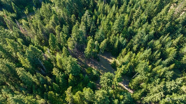 730 Tall Pines Dr, Cle Elum, WA 98922 - photo 12