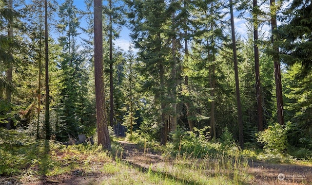 730 Tall Pines Dr, Cle Elum, WA 98922 - photo 19