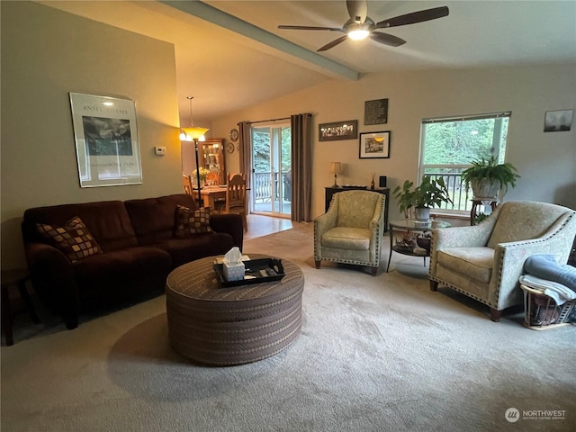 carpeted living room featuring plenty of natural light, vaulted ceiling with beams, and ceiling fan