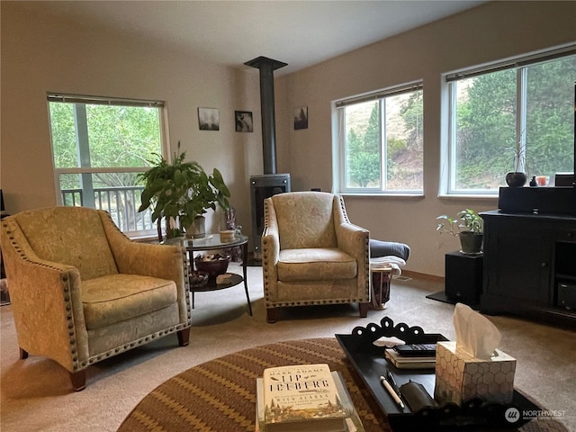 sitting room featuring carpet floors and a wood stove