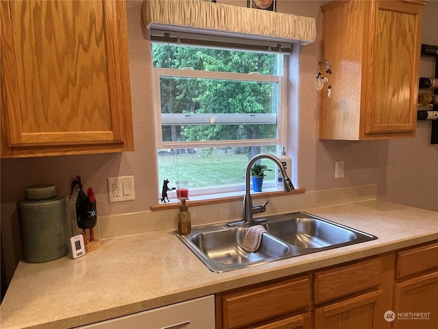 kitchen with sink and a wealth of natural light