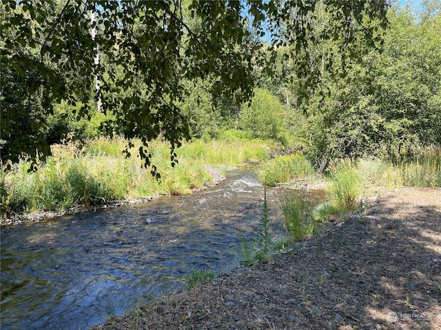 view of local wilderness