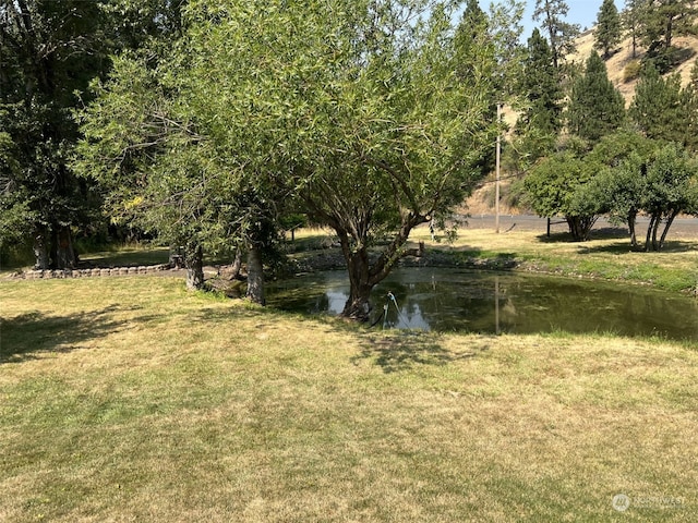 view of yard featuring a water view