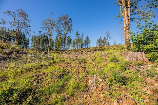 9005 Woods Creek Rd, Monroe, WA 98272 - photo 15