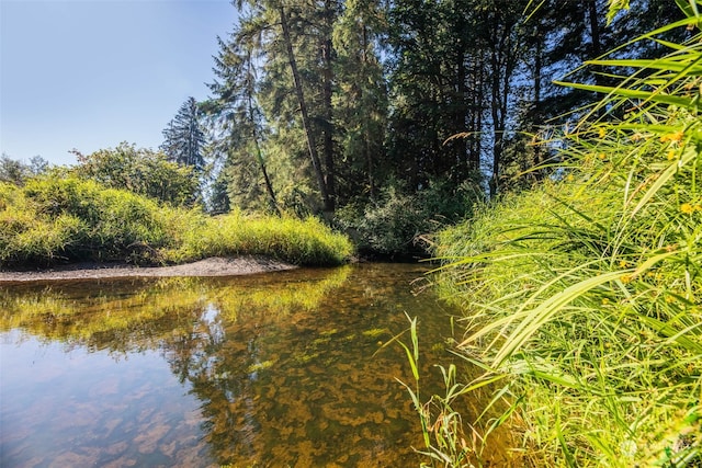 9005 Woods Creek Rd, Monroe, WA 98272 - photo 10