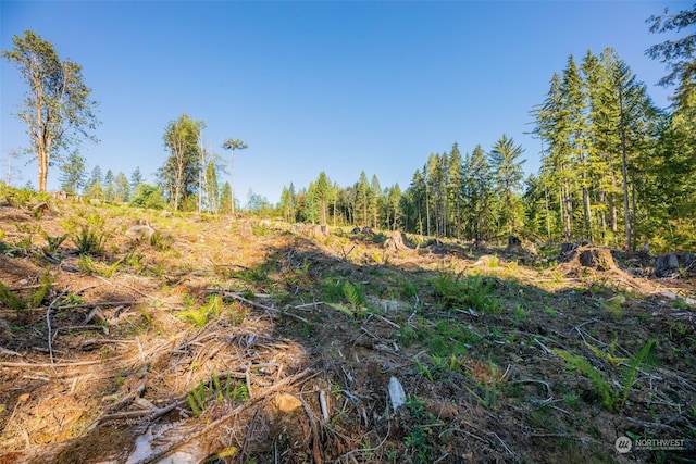 9005 Woods Creek Rd, Monroe, WA 98272 - photo 12