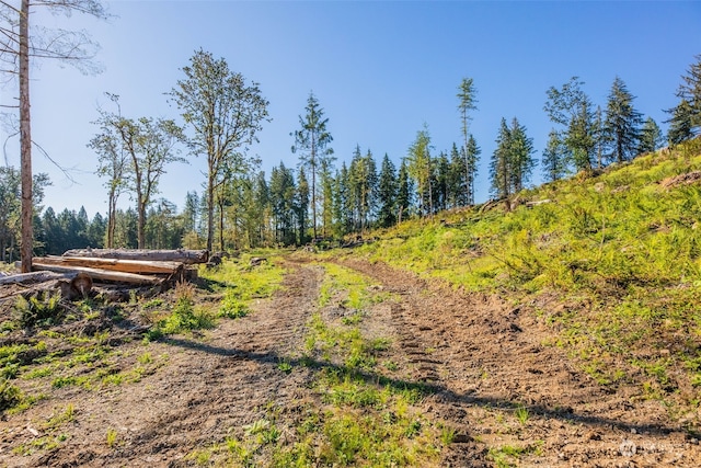 9005 Woods Creek Rd, Monroe, WA 98272 - photo 8