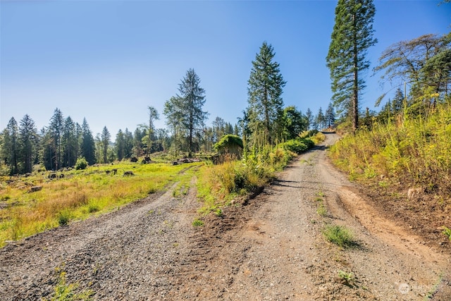 9005 Woods Creek Rd, Monroe, WA 98272 - photo 18