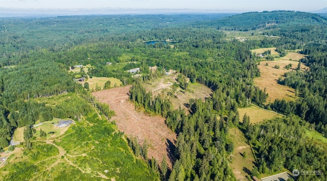 9005 Woods Creek Rd, Monroe, WA 98272 - photo 21