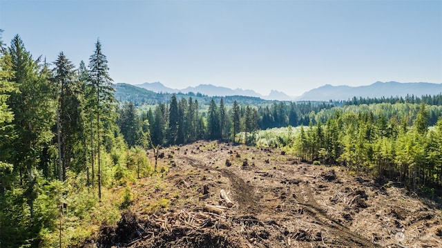 9005 Woods Creek Rd, Monroe, WA 98272 - photo 31