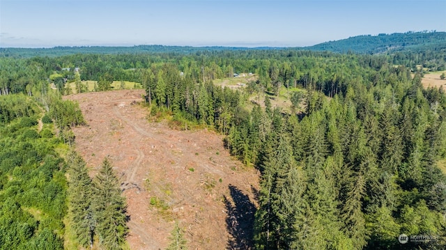 9005 Woods Creek Rd, Monroe, WA 98272 - photo 34