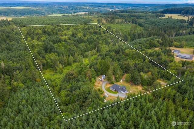 aerial view