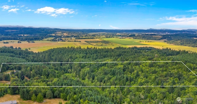 birds eye view of property featuring a mountain view