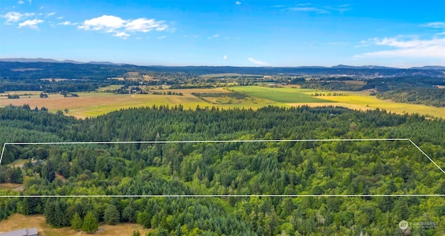 bird's eye view with a mountain view