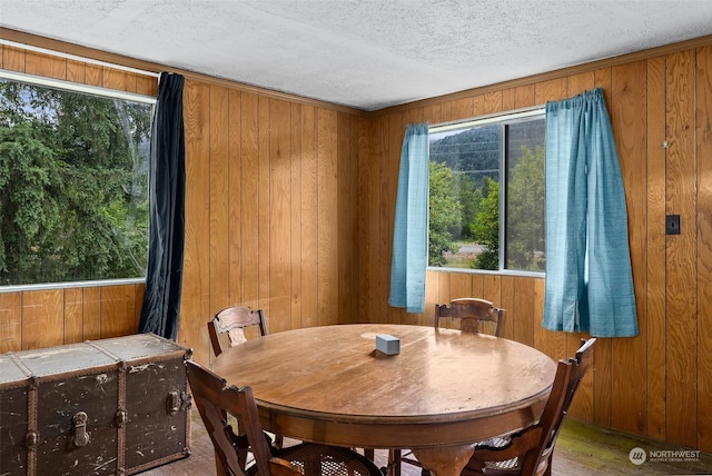 dining space with wooden walls and a healthy amount of sunlight