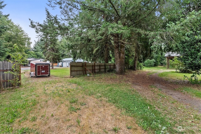 view of yard featuring a storage unit