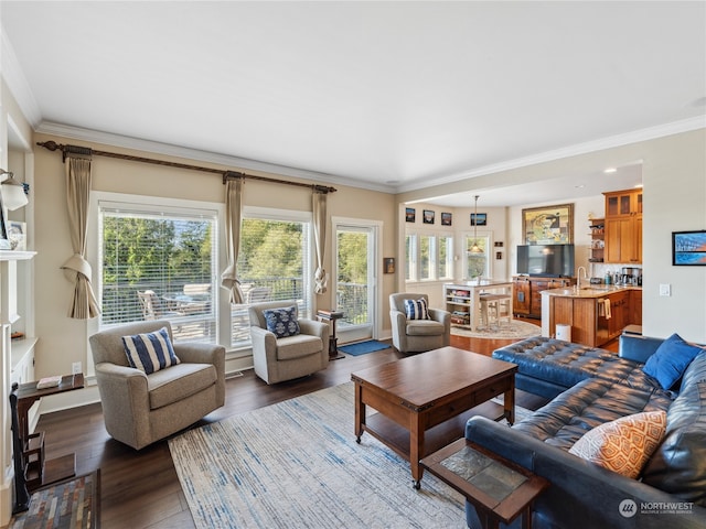 living room with crown molding, wood-type flooring, and sink