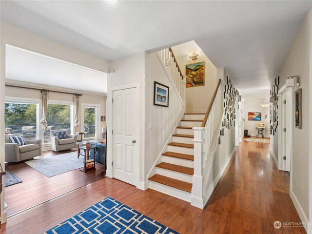 stairs featuring hardwood / wood-style flooring