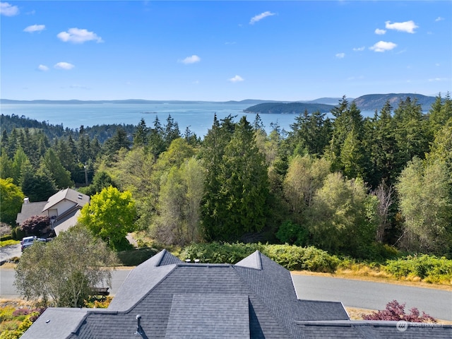 bird's eye view featuring a mountain view