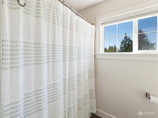 bathroom featuring a shower with curtain