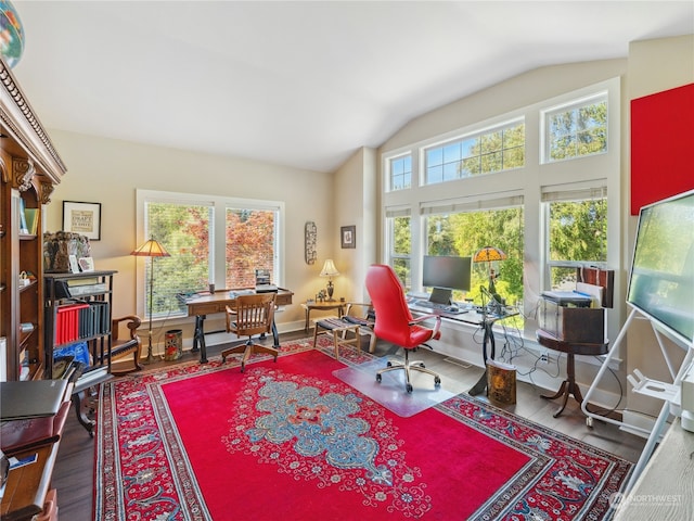 office with hardwood / wood-style flooring and vaulted ceiling