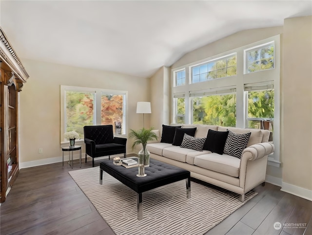 living room featuring lofted ceiling and dark wood-type flooring