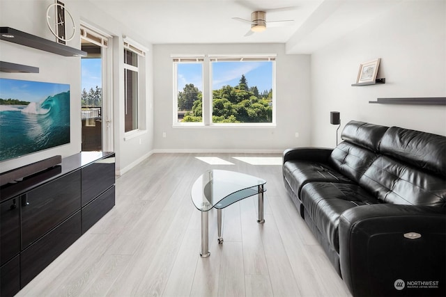 living room with ceiling fan and light hardwood / wood-style flooring