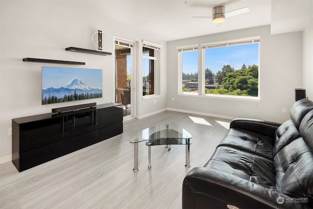 living room featuring ceiling fan and light wood-type flooring