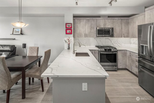 kitchen with tasteful backsplash, pendant lighting, stainless steel appliances, light hardwood / wood-style floors, and track lighting