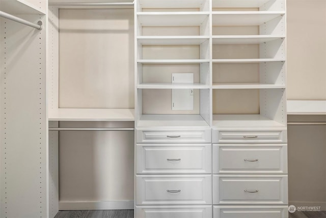 spacious closet with dark wood-type flooring